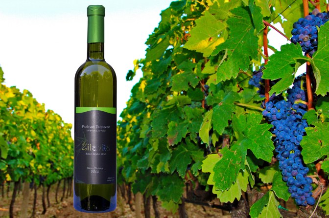 Vinarija Popovac trebinje Proizvodi